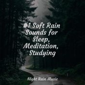#1 Soft Rain Sounds for Sleep, Meditation, Studying