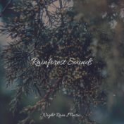 Rainforest Sounds
