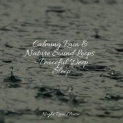 Calming Rain & Nature Sound Loops - Peaceful Deep Sleep