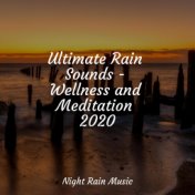 Ultimate Rain Sounds - Wellness and Meditation 2020