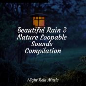 Beautiful Rain & Nature Loopable Sounds Compilation