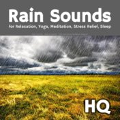 Rain Sounds for Relaxation, Yoga, Meditation, Stress Relief, Sleep