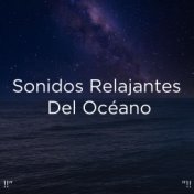 !!" Sonidos Relajantes Del Océano "!!