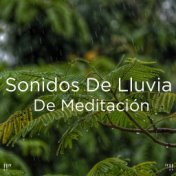 !!" Sonidos De Lluvia De Meditación "!!