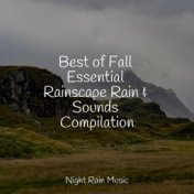Best of Fall Essential Rainscape Rain & Sounds Compilation