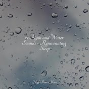 #1 Rain and Water Sounds - Rejuvenating Sleep