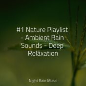 #1 Nature Playlist - Ambient Rain Sounds - Deep Relaxation