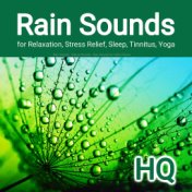 Rain Sounds for Relaxation, Stress Relief, Sleep, Tinnitus, Yoga