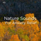 49 Nature Sounds For Anxiety Relief