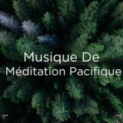 !!" Musique De Méditation Pacifique "!!