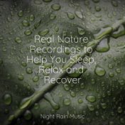 Real Nature Recordings to Help You Sleep, Relax and Recover