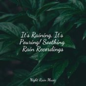 It's Raining, It's Pouring! Soothing Rain Recordings