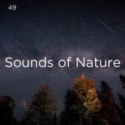 49 Sounds of Nature