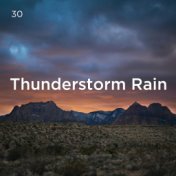 30 Thunderstorm Rain