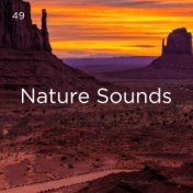 49 Nature Sounds