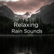 50 Relaxing Rain Sounds