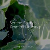 Serene Sounds - Rainfall Morning