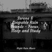 Serene & Loopable Rain Sounds - Focus, Sleep and Study