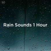 50 Rain Sounds 1 Hour