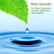 Rain Sounds for Sleep, Relaxation, Tinnitus, Meditation, Stress Relief