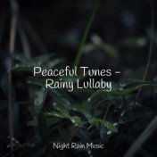 Peaceful Tunes - Rainy Lullaby