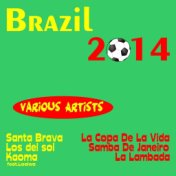 Brazil 2014