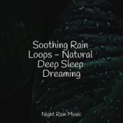 Soothing Rain Loops - Natural Deep Sleep Dreaming