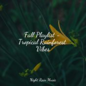 Fall Playlist - Tropical Rainforest Vibes