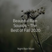 Beautiful Rain Sounds - The Best of Fall 2020