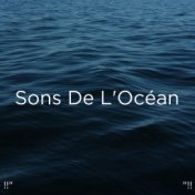 !!" Sons De L'Océan "!!