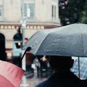 Peaceful Rain Sounds | a Calming Evening at Home