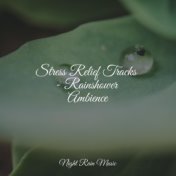 Stress Relief Tracks - Rainshower Ambience
