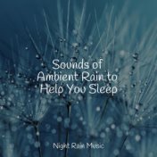 Sounds of Ambient Rain to Help You Sleep