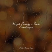 Sleep & Serenity - Rain Soundscapes