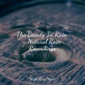 The Beauty In Rain - Natural Rain Recordings