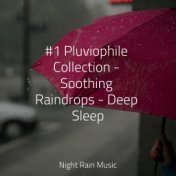 #1 Pluviophile Collection - Soothing Raindrops - Deep Sleep