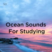50 Ocean Sounds For Studying