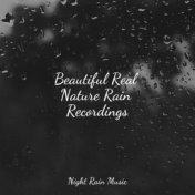 Beautiful Real Nature Rain Recordings