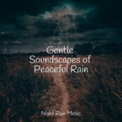 Gentle Soundscapes of Peaceful Rain