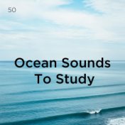 50 Ocean Sounds To Study