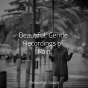Beautiful, Gentle Recordings of Rain