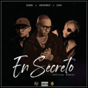 En Secreto (Remix)
