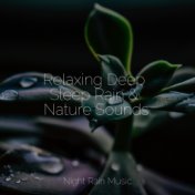 Relaxing Deep Sleep Rain & Nature Sounds