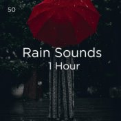 50 Rain Sounds 1 Hour