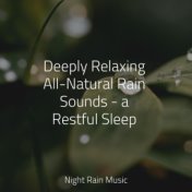 Deeply Relaxing All-Natural Rain Sounds - a Restful Sleep