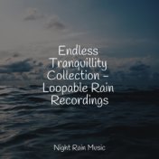 Endless Tranquillity Collection - Loopable Rain Recordings