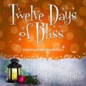 Twelve Days Of Bliss - Christmas Instrumentals (Vol. 3)