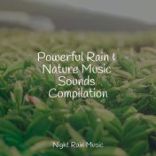 Powerful Rain & Nature Music Sounds Compilation