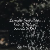 Loopable Deep Sleep Rain & Nature Sounds 2020