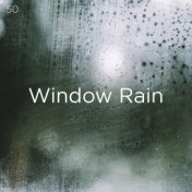 50 Window Rain